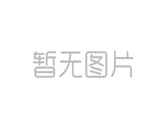 国内拉力试验机发展及现状
